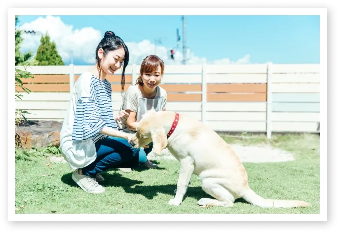 ペットも安心して過ごせる中庭